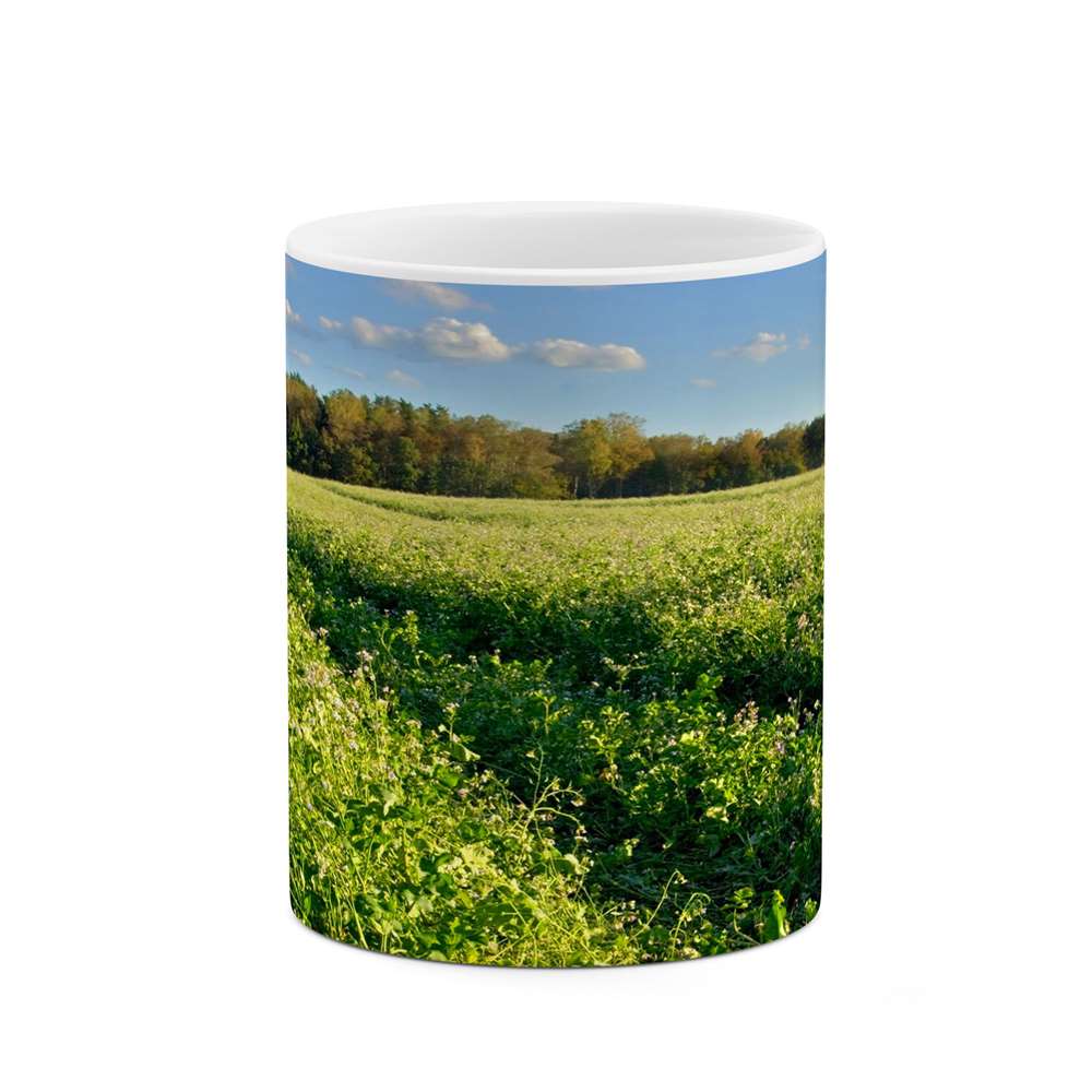 ماگ طرح منظره مدل mgs10743