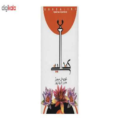 کتاب کندالینی تجربه ای مرموز اثر خسرو شریف پور