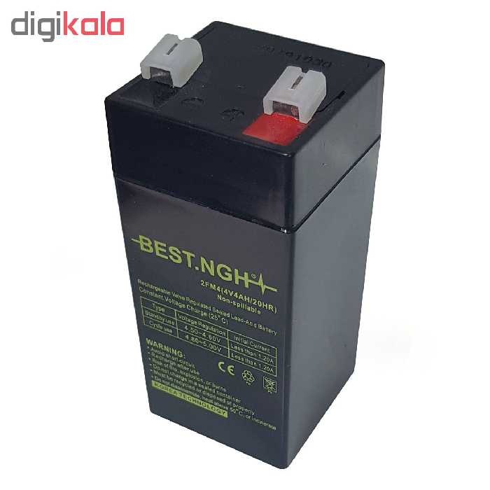 باتری یو پی اس 4 ولت 4 آمپر ساعت بست ان جی اچ مدل 2FM4