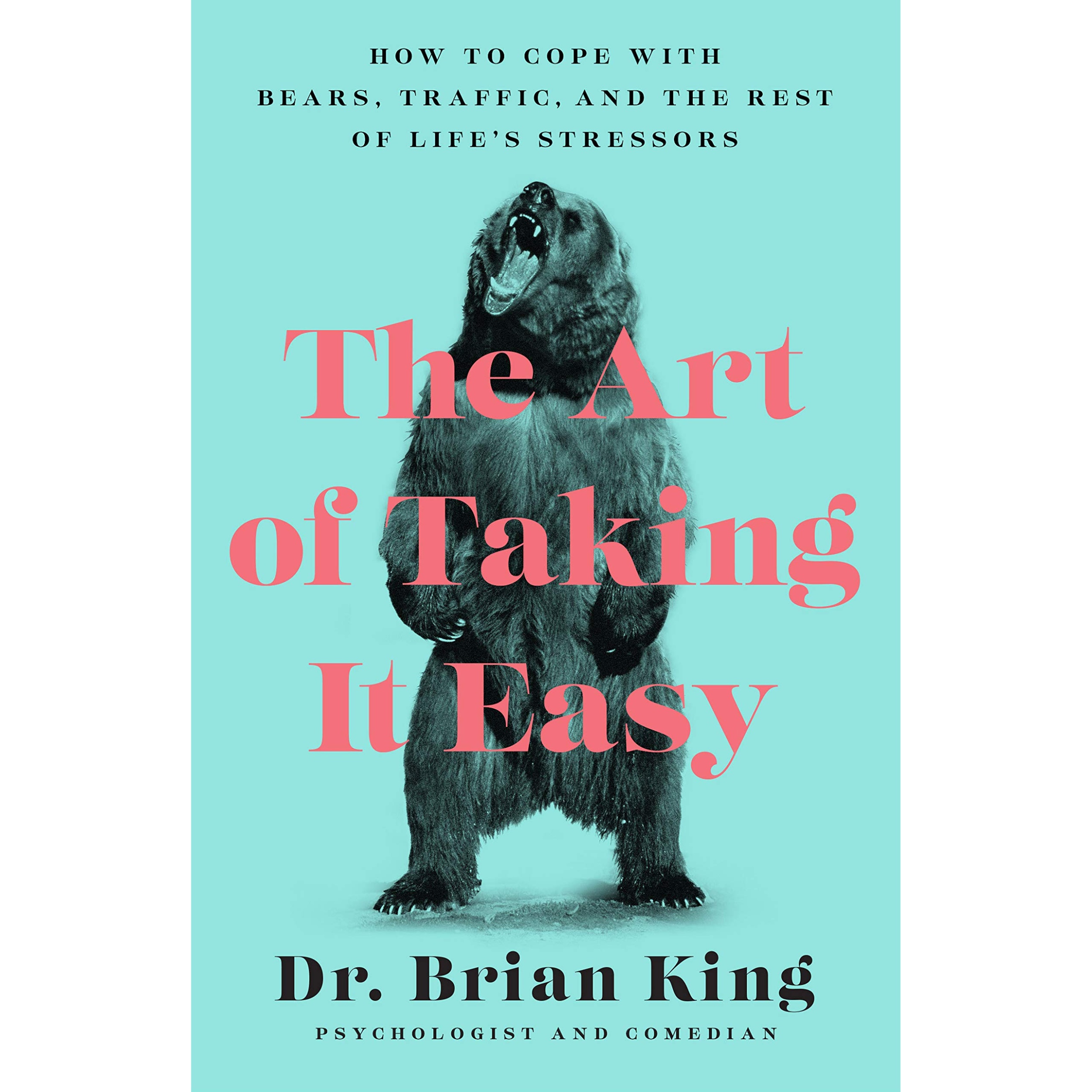 کتاب The Art of Taking It Easy اثر Brian King انتشارات Lightning Source Inc