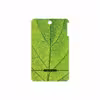 برچسب پوششی ماهوت مدل Leaf-Texture مناسب برای تبلت لنوو A7-50 A3500 2014