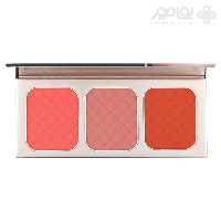 پالت رژگونه 3 رنگ کرکتر مدل GO BLUSH شماره 003