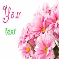 خرید و دانلود عکس Flower-Part-2 کد 17747 | پیک فاکس | Pic Fox