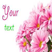 خرید و دانلود عکس Flower-Part-2 کد 17747 | پیک فاکس | Pic Fox