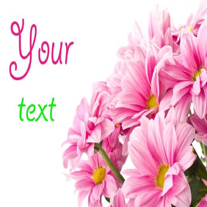 خرید و دانلود عکس Flower-Part-2 کد 17747 | پیک فاکس | Pic Fox