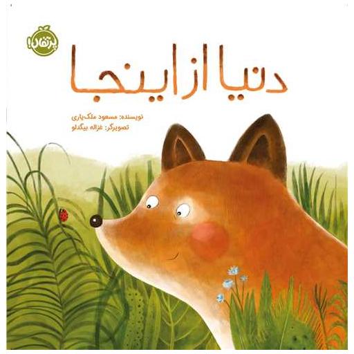 کتاب دنیا از اینجا (خشتی)(پرتقال) اثر مسعود ملک یاری