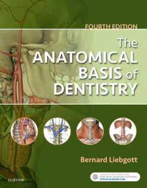 [PDF] دانلود کتاب The Anatomical Basis Of Dentistry, 4th ed, 2017
