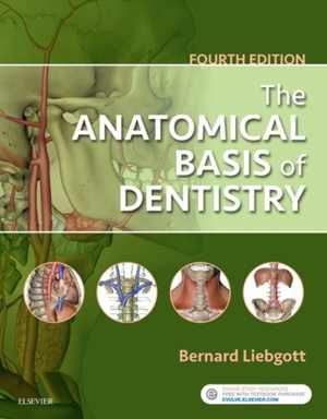 [PDF] دانلود کتاب The Anatomical Basis Of Dentistry, 4th ed, 2017