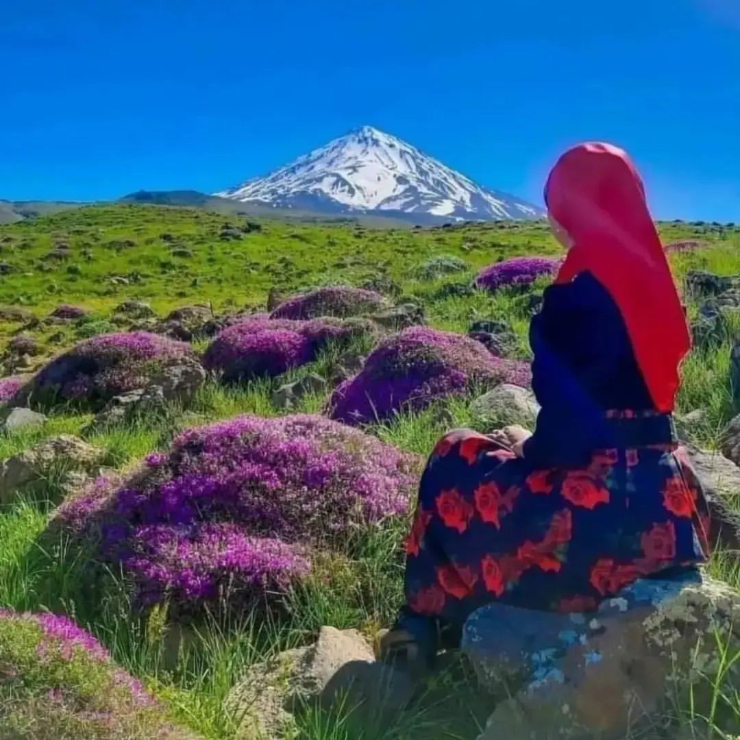 کرم دست روغن اسب بیواکوا خوشبو کننده روشن کننده پوست دست حاوی ویتامین E روعن اسب روغن زیتون و روغن بادام