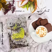 کتاب واژه های بارانی شعر فارسی ناشر انتشارات حوزه مشق 