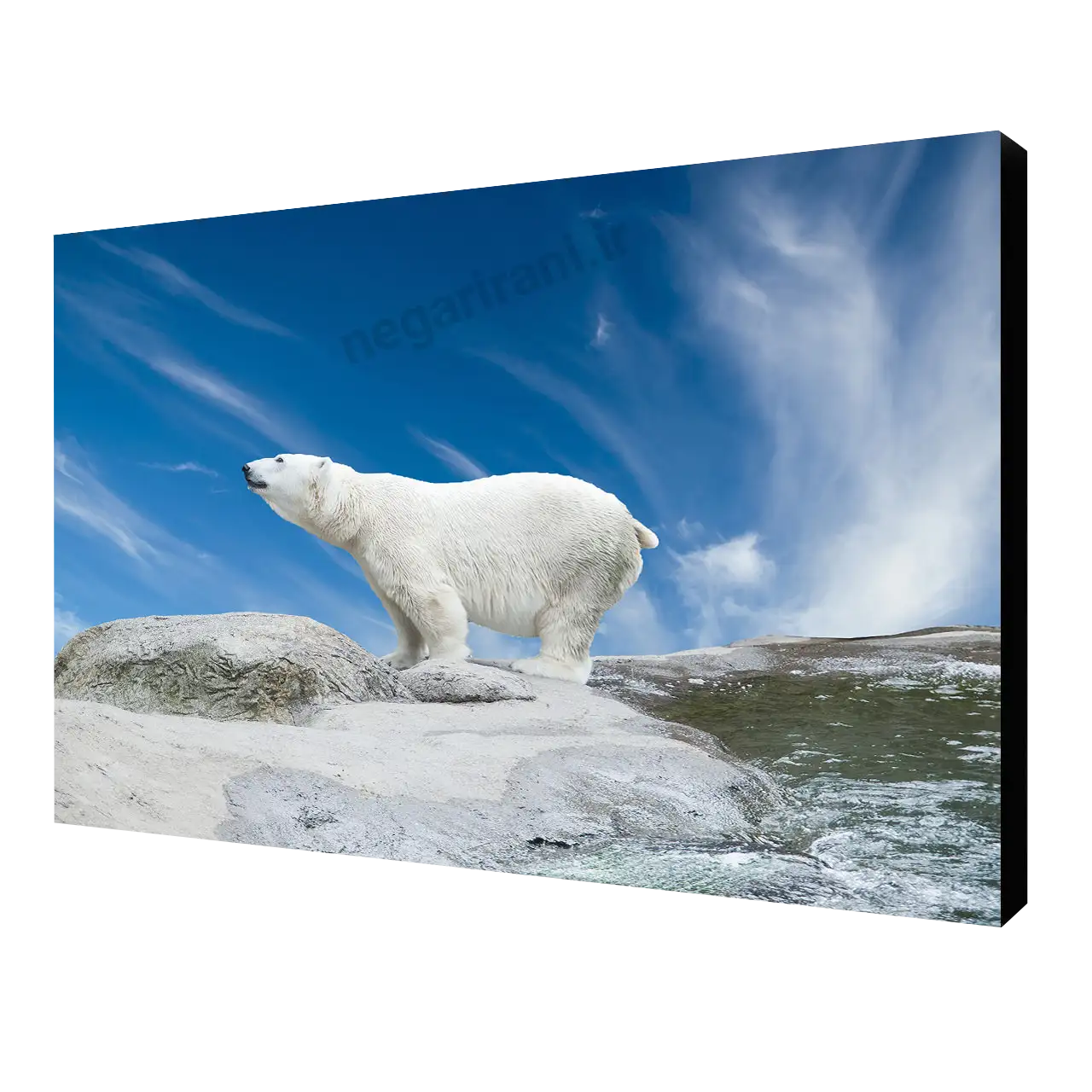 تابلو شاسی خرس سفید طرح W 41