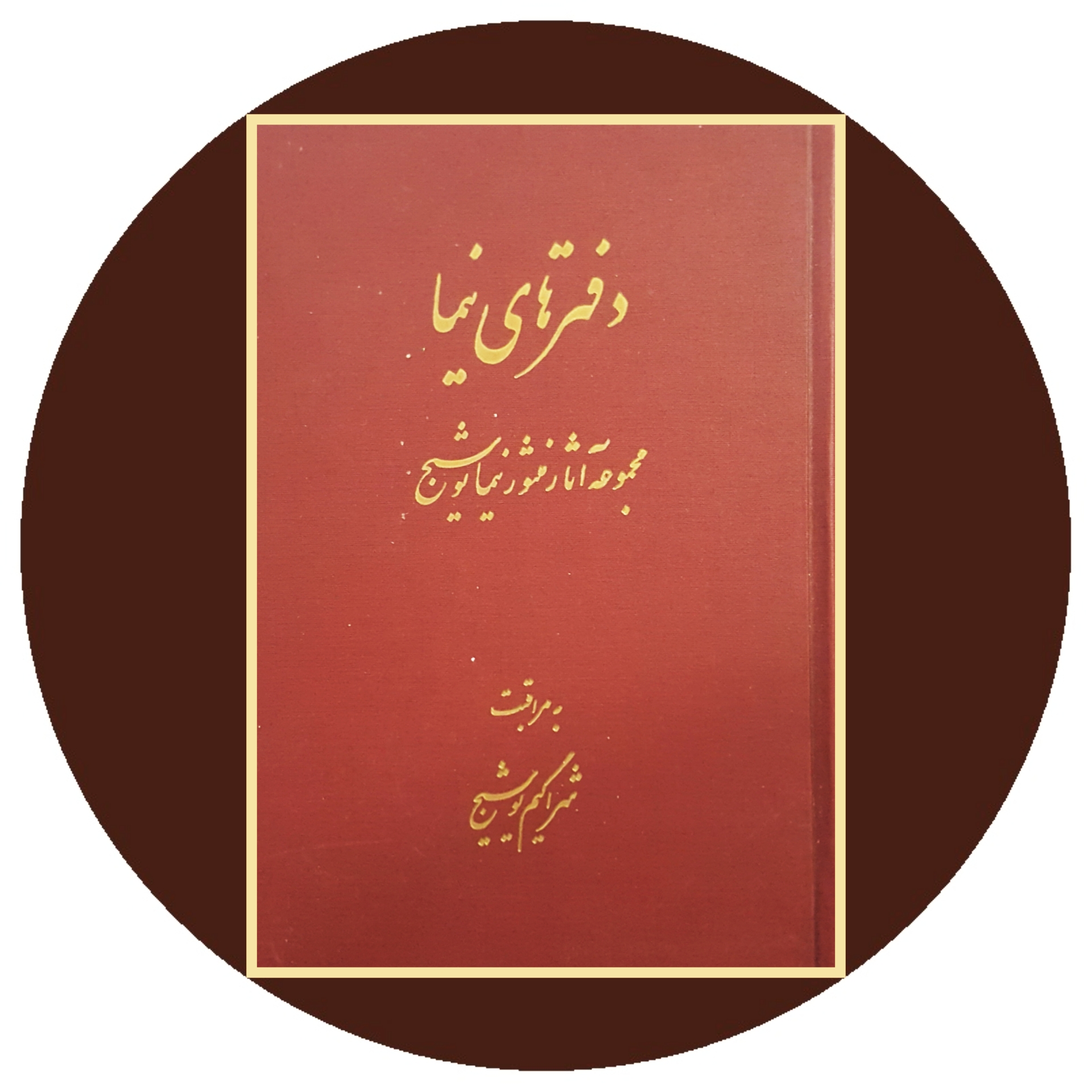کتاب دفترهای نیما - خرید با تخفیف چهل درصد از کتاب دایره قهوه ای