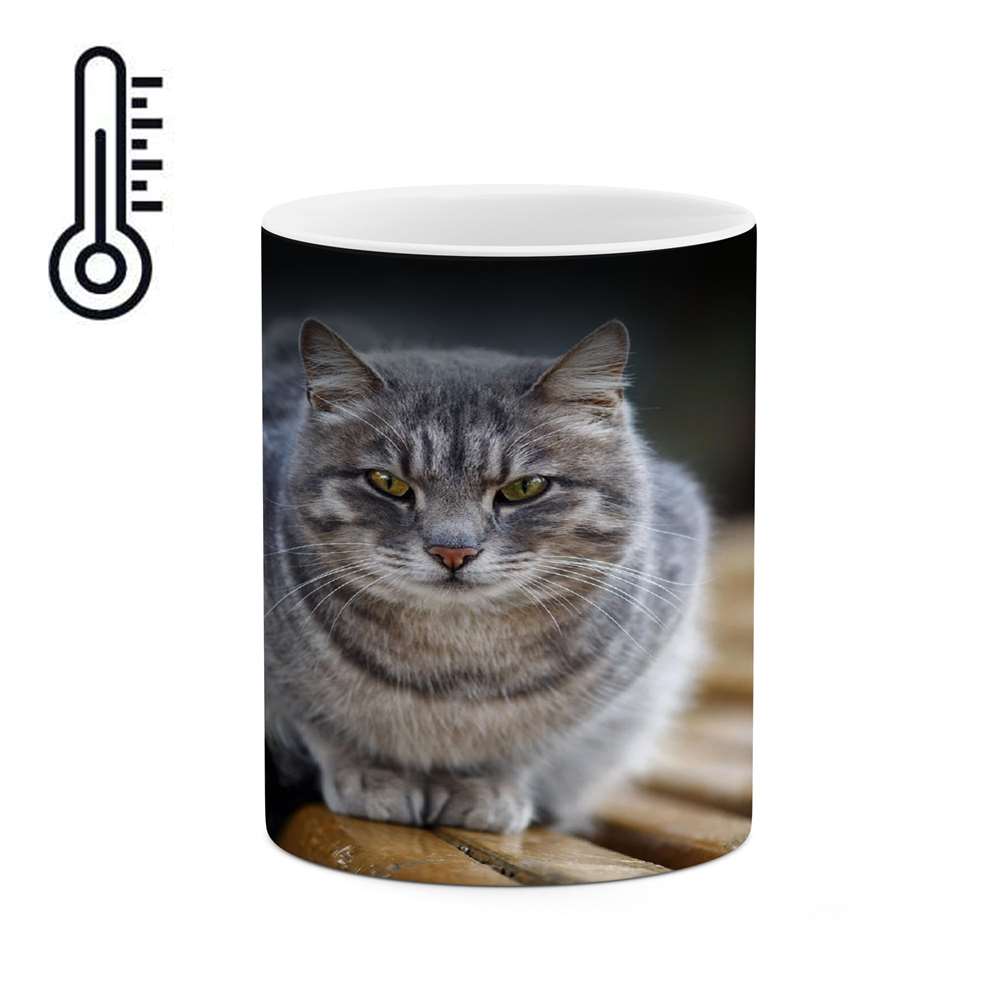 ماگ حرارتی کاکتی طرح گربه مدل mgh14121