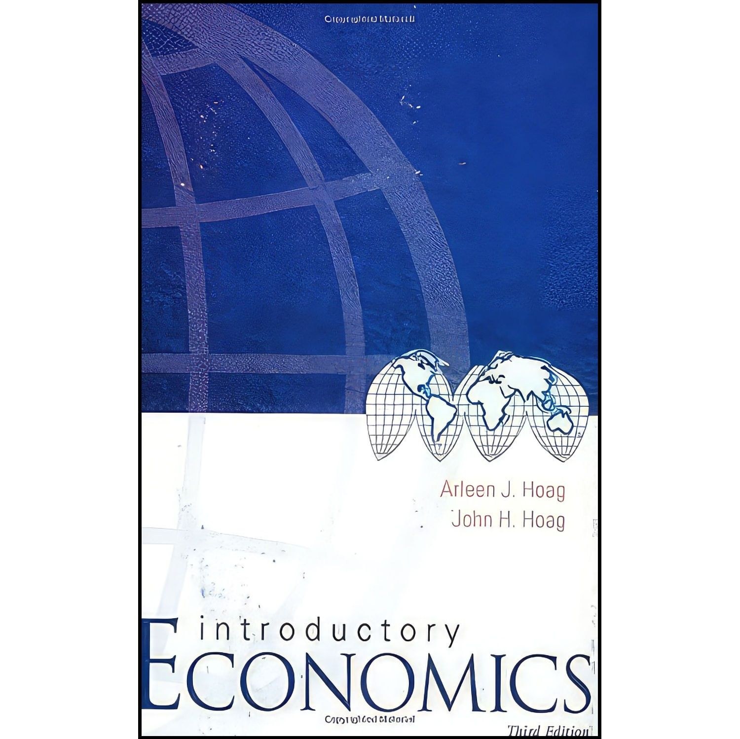 کتاب زبان اصلی Introductory Economics  اثر John H Hoag and Arleen J Hoag