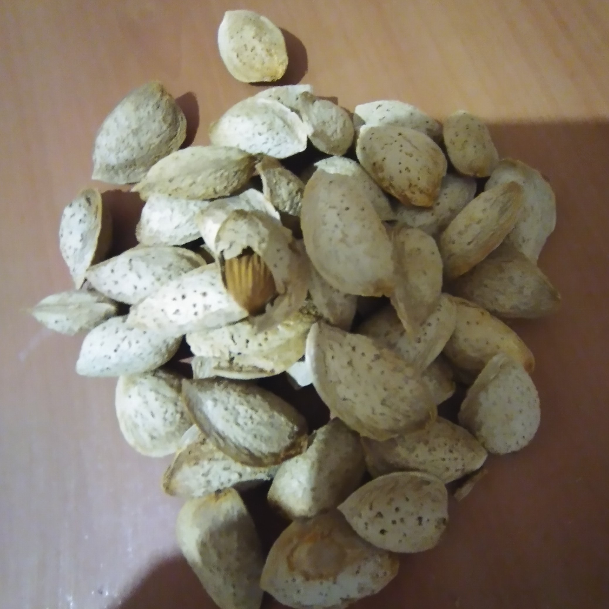 بادام کاغذی