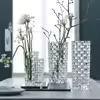 گلدان دکوری ناخمن مدل bossa nova 20