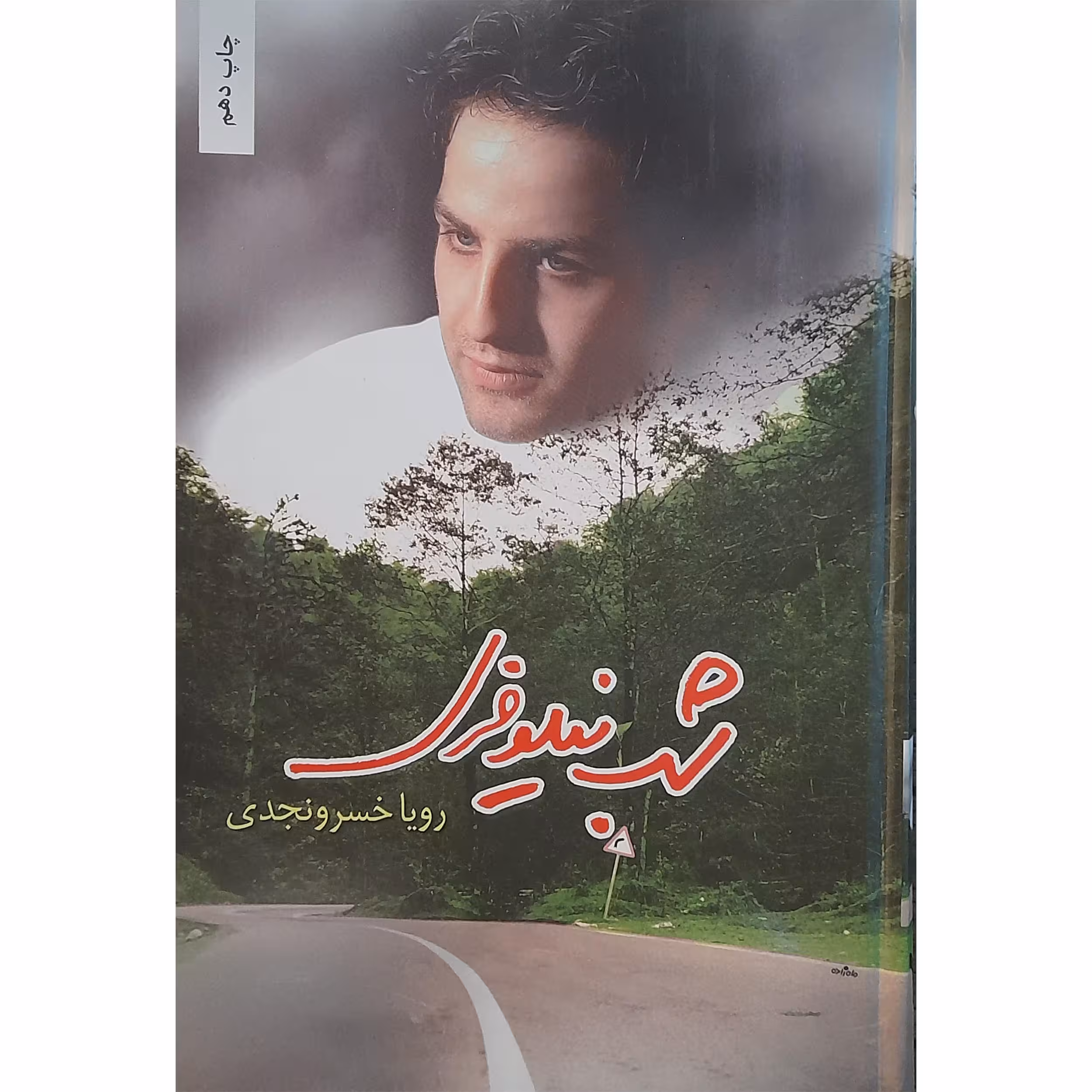 کتاب شب نیلوفری اثر رویا خسرو نجدی انتشارات شقایق
