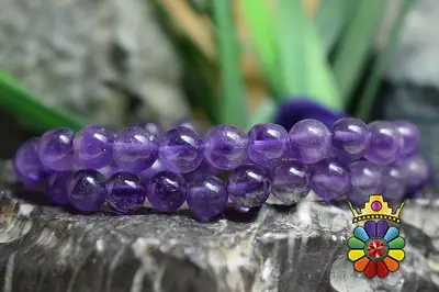 رشته امتیست