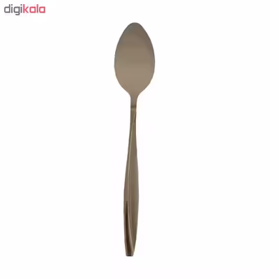 قاشق مرباخوری مدل FGT بسته 6 عددی