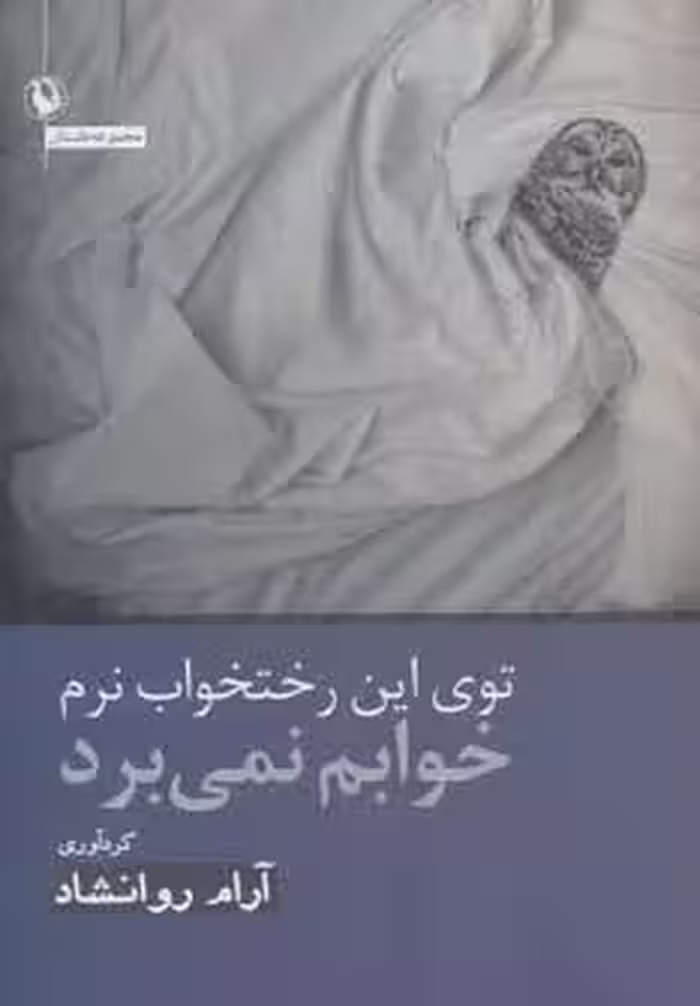 توی این رختخواب نرم خوابم نمی برد (مجموعه داستان)