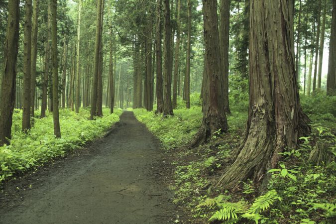 خرید و دانلود عکس Nature-Part-3 کد 36710 | پیک فاکس | Pic Fox