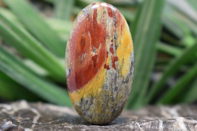 سونورا جاسپر