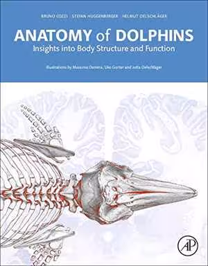 [PDF] دانلود کتاب Anatomy Of Dolphins. Insights Into Body Structure And Function, 2017