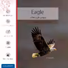 برچسب پوششی ماهوت مدل Eagle مناسب برای تبلت اپل iPad mini 2 2013 A1490