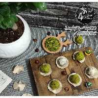 خلال  پسته   اعلا  و با کیفیت  با  وزن  500  گرمی