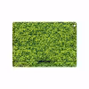 برچسب پوششی ماهوت مدل Leafs مناسب برای تبلت اپل iPad Air 2013 A1475