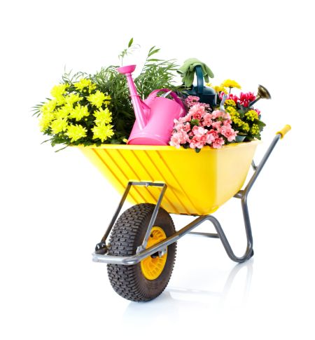 خرید و دانلود عکس Farming-Part-1 کد 15828 | پیک فاکس | Pic Fox