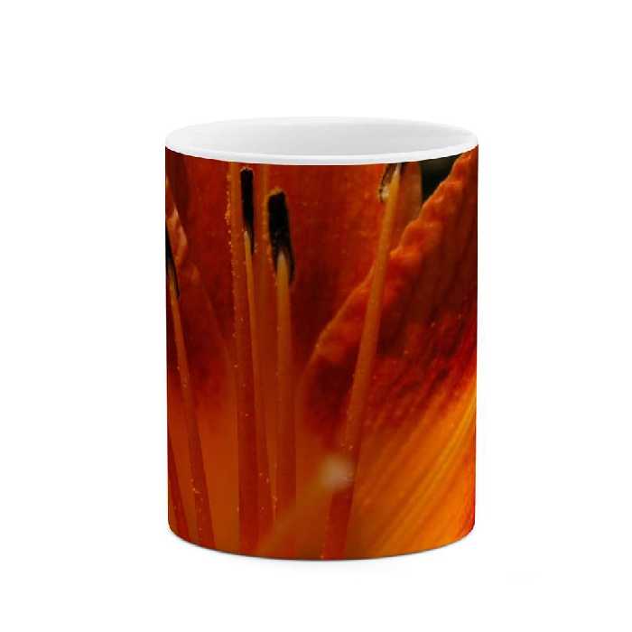 ماگ طرح گل مدل mgs12099