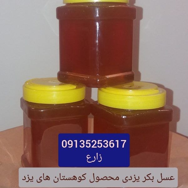 عسل بکر یزدی