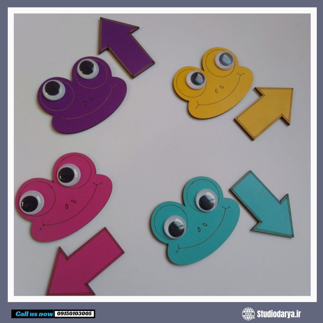 قورباغه های تعیین جهت