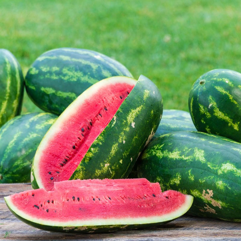 بذر هندوانه کریمسون هیبرید 1032 بسته 10 عددی