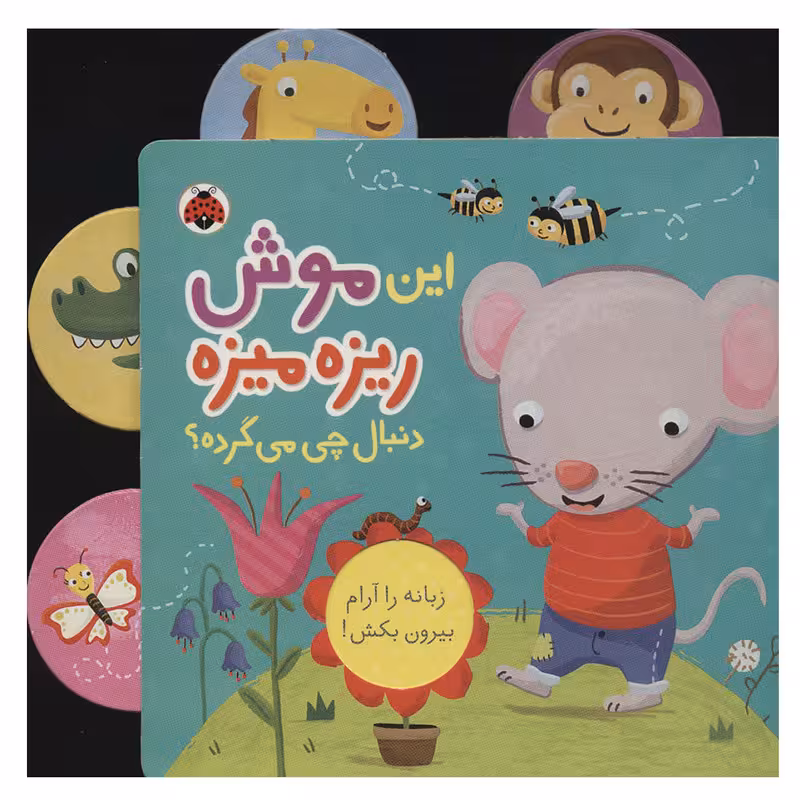 کتاب این موش ریزه میزه دنبال چی می گرده اثر جنی هو انتشارات شهر قلم