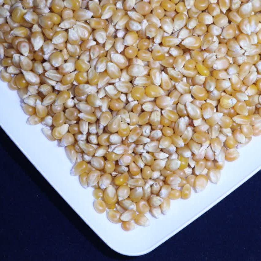 ذرت (پاپ کرن) ظرف مخصوص 900 گرمی