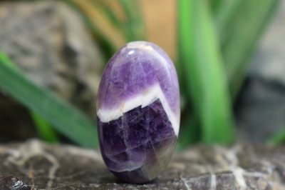 امتیست شورون