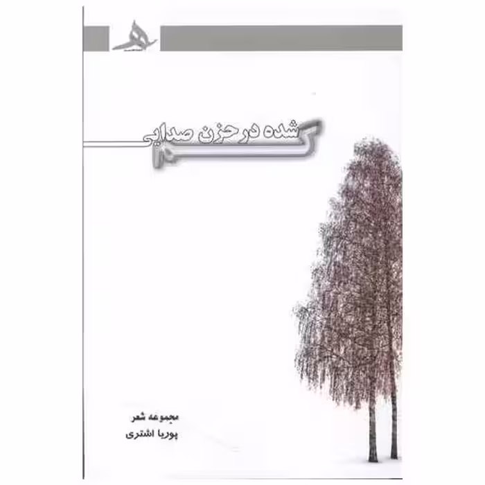 کتاب گمشده در حزن صدایی اثر پوریا اشتری