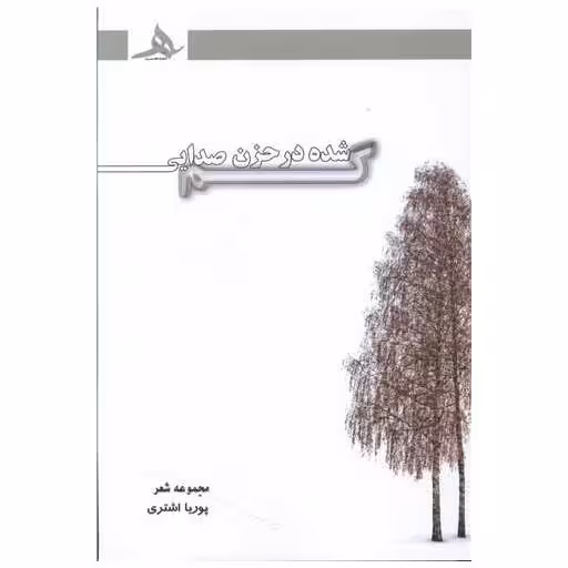 کتاب گمشده در حزن صدایی اثر پوریا اشتری