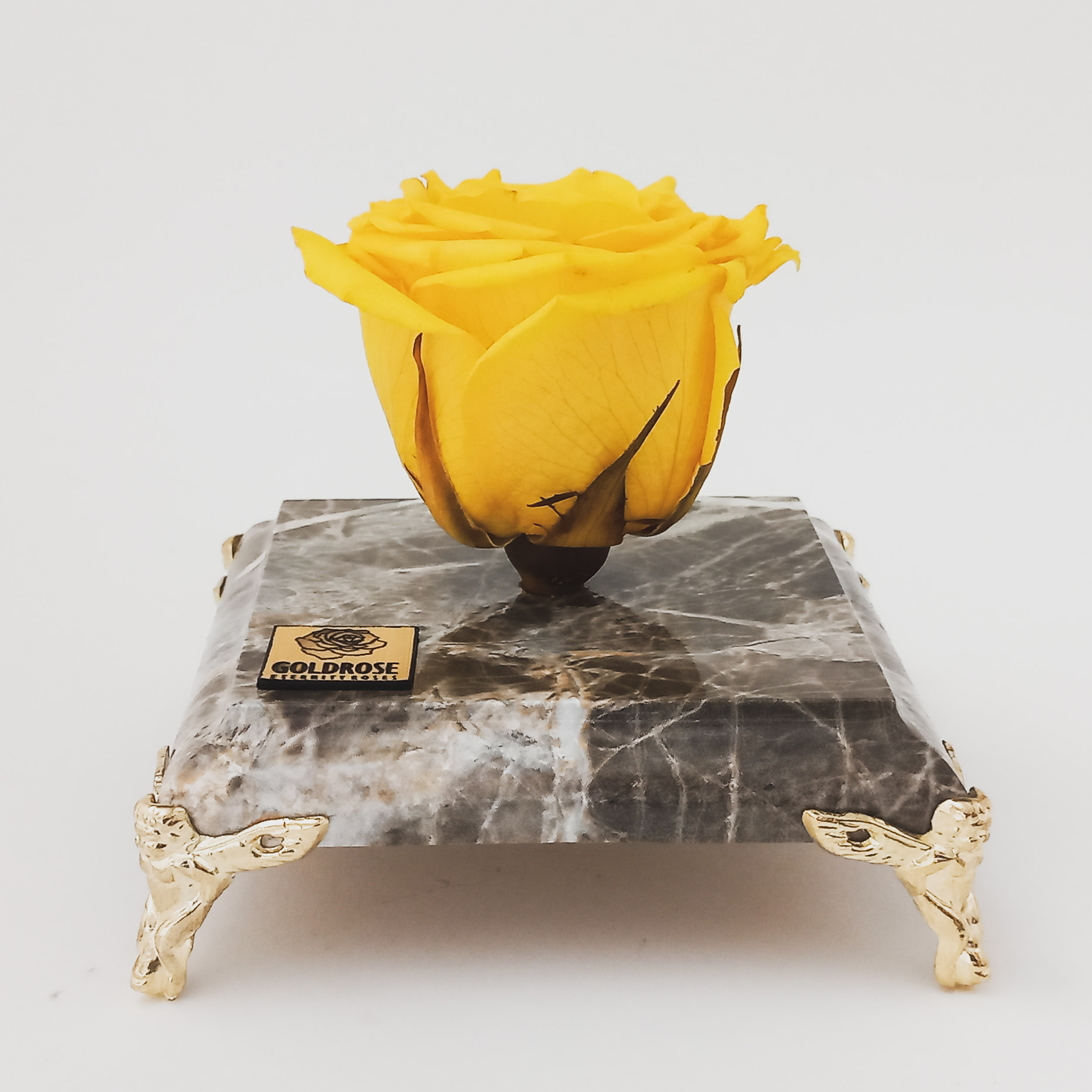 گل رز جاودان گلد رز مدل ORA128