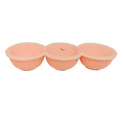 ظرف نگهدارنده یاس مدل مقسم