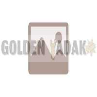 فشنگی فن برلیانس H330 - گلدن یدک