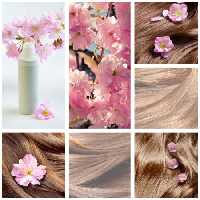 خرید و دانلود عکس Hair textures کد 24684 | پیک فاکس | Pic Fox