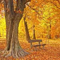 خرید و دانلود عکس Nature-Part-21 کد 36101 | پیک فاکس | Pic Fox