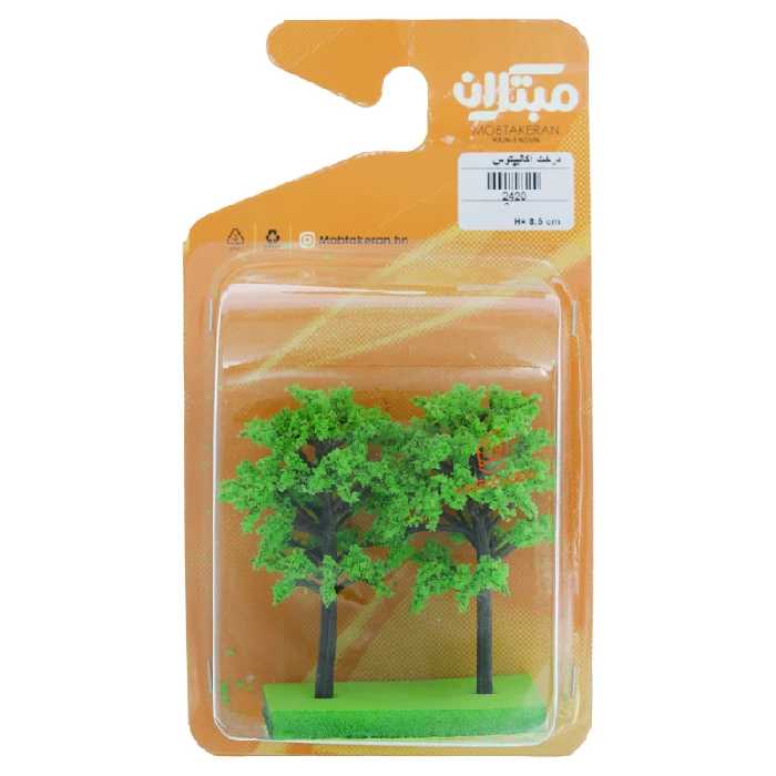 قیمت و خرید درخت اکالیپتوس 2 عددی 8.5cm مبتکران Mobtakeran