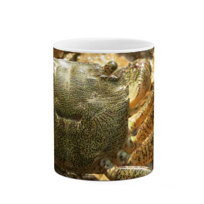 ماگ طرح طبیعت و حیات وحش زیبا  مدل mgp14783