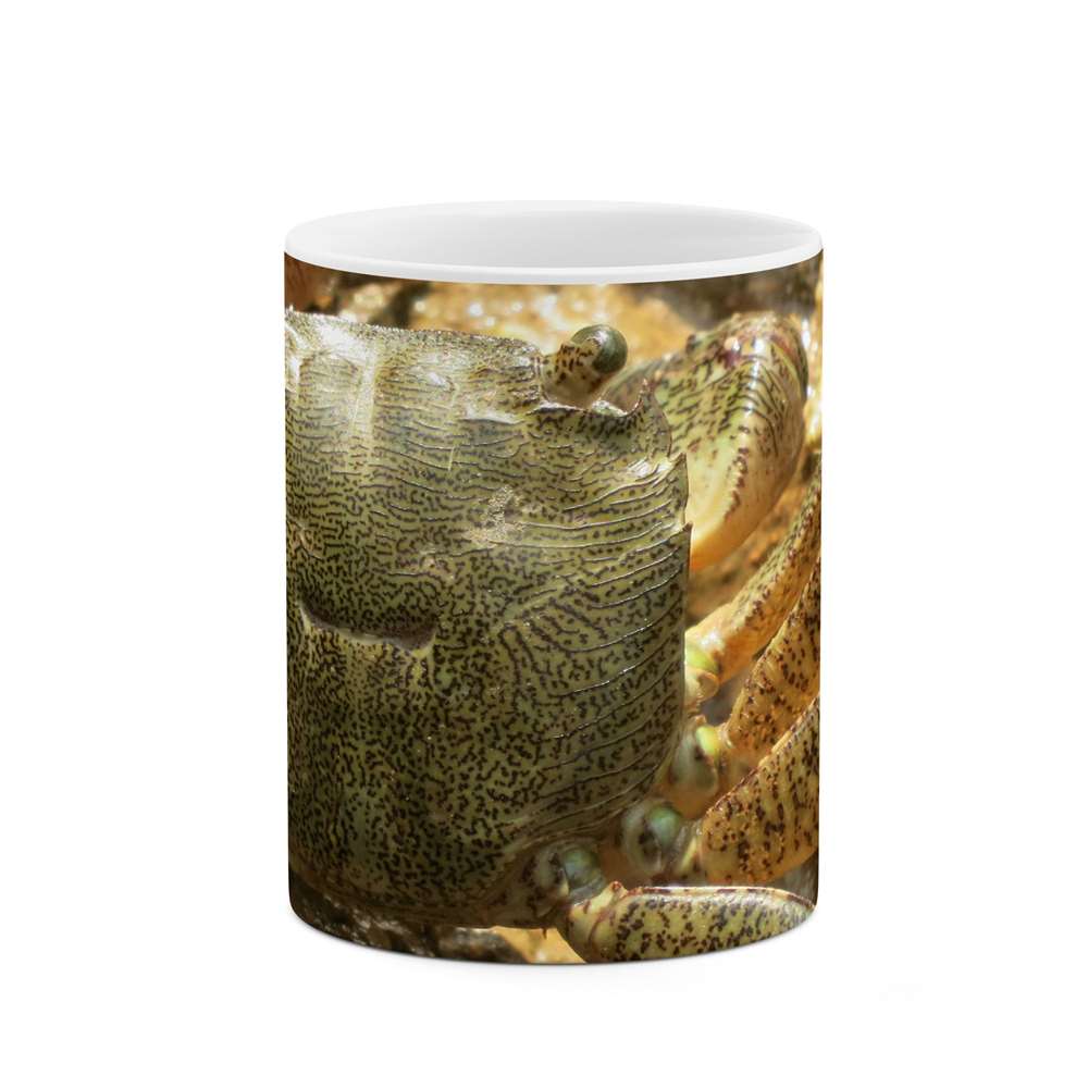 ماگ طرح طبیعت و حیات وحش زیبا  مدل mgp14783