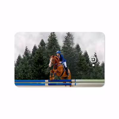 برچسب پوششی ماهوت مدل Equestrianism مناسب برای تبلت سامسونگ Galaxy Tab A 10.1 2016 T580