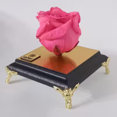 گل رز جاودان گلد رز مدل PINK 154